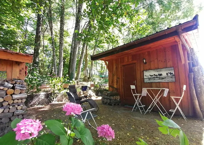 Apartment En Foret