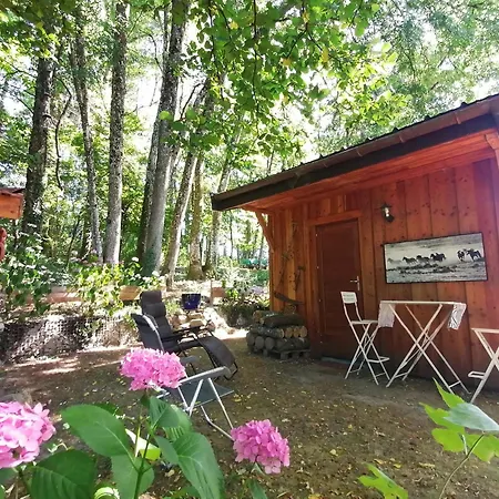 Lejlighed En Forêt