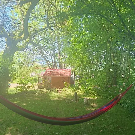 En Forêt